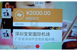 石河子如何避免债务纠纷？专业追讨公司教您应对之策